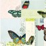 Cavallini-set van 480 mooie plakbriefjes-vlinders-2547
