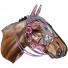 Miho-grote racepaard trofee Dakota-dakota-5818