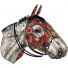 Miho-grote racepaard trofee Blizzard-blizzard-5819